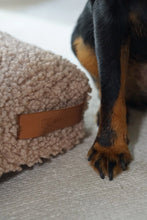 Lade das Bild in den Galerie-Viewer, Öko Hundematratze "Teddy" SoftColor | Recycelte Materialien | Oeko-Tex® | Rexproduct | Beige