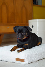 Lade das Bild in den Galerie-Viewer, Öko-Hundematratze "Teddy" SoftColor | Recycelte Materialien | Oeko-Tex® | Rexproduct | Hellbeige