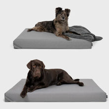 Lade das Bild in den Galerie-Viewer, FINNTO® Hundematte orthopädisch | Wasserdicht & Antiallergen | FAIRTRADE & Oeko-Tex® Standard | Hellgrau