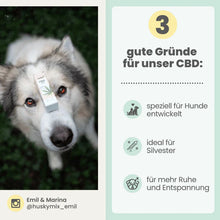 Lade das Bild in den Galerie-Viewer, Noms+ 10% CBD Tropfen für Hunde | 100% natürlich & sanft | 10ml Öl | Fräulein Plath