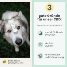 Lade das Bild in den Galerie-Viewer, Noms+ 10% CBD Tropfen für Hunde | 100% natürlich & sanft | 10ml Öl | Fräulein Plath