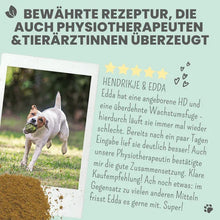 Lade das Bild in den Galerie-Viewer, Gelenkmix mit Teufelskralle, Kurkuma & Glucosamin für Hunde & Katzen | Unterstützt akut und frühzeitig | 100% vegan & tierleidfrei | 150g