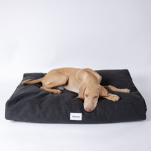 Lade das Bild in den Galerie-Viewer, Hundebett Clean von Caruso - orthopädisch & recycelt - Oeko-Tex® Standard - 2 Farben Schwarz - Clean | Fräulein Plath
