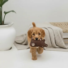 Lade das Bild in den Galerie-Viewer, Nachhaltiges BUDDY. Hundespielzeug Leder für kleine Hunde Bär - schadstofffrei - inkl. 15% Rabatt Hundetraining Ellen Marques | Fräulein Plath
