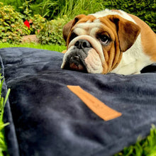 Lade das Bild in den Galerie-Viewer, Reisedecke "Mia" Rexproduct | Samtbezug & Wasserdichte Unterseite | Öko-Tex Zertifikat | 2 Größen