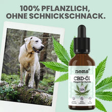 Lade das Bild in den Galerie-Viewer, Noms+ 10% CBD Tropfen für Hunde | 100% natürlich & sanft | 10ml Öl | Fräulein Plath