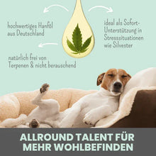 Lade das Bild in den Galerie-Viewer, Noms+ 10% CBD Tropfen für Hunde | 100% natürlich & sanft | 10ml Öl | Fräulein Plath