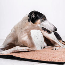 Lade das Bild in den Galerie-Viewer, Hunde Reisedecke "Mia Teddy" Rexproduct | Wasserdichte Unterseite | Öko-Tex Zertifikat | 2 Größen