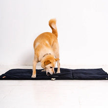 Lade das Bild in den Galerie-Viewer, Reisedecke "Mia" Rexproduct | Samtbezug & Wasserdichte Unterseite | Öko-Tex Zertifikat | 2 Größen