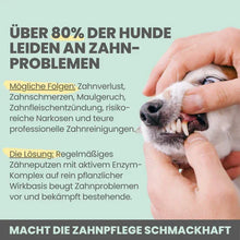 Lade das Bild in den Galerie-Viewer, Natürliches Zahnpflege Trio von noms+ | Dentalspray - Zahncreme - Fingerling | 100% vegan & tierleidfrei