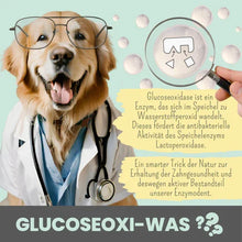 Lade das Bild in den Galerie-Viewer, Natürliches Zahnpflege Trio von noms+ | Dentalspray - Zahncreme - Fingerling | 100% vegan & tierleidfrei