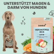 Lade das Bild in den Galerie-Viewer, Noms+ Verdauungsmix für Hunde | Hilfe bei Durchfall | Für gesunde Darmfunktion | 100% vegan & tierleidfrei