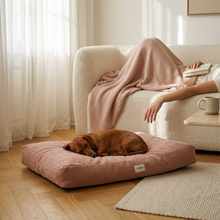 Lade das Bild in den Galerie-Viewer, Hundebett Teddy von Caruso - orthopädisch & recycelt - Oeko-Tex® Standard - 3 Farben & Größen | Fräulein Plath