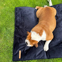 Lade das Bild in den Galerie-Viewer, Reisedecke "Mia" Rexproduct | Samtbezug & Wasserdichte Unterseite | Öko-Tex Zertifikat | 2 Größen