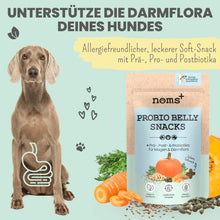 Lade das Bild in den Galerie-Viewer, Probio Belly Snacks für Hunde | Gegen Durchfall & Verstopfung | Stärkt die Darmflora | Vegan & tierleidfrei | 200g