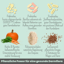 Lade das Bild in den Galerie-Viewer, Probio Belly Snacks für Hunde | Gegen Durchfall & Verstopfung | Stärkt die Darmflora | Vegan & tierleidfrei | 200g