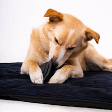 Lade das Bild in den Galerie-Viewer, Reisedecke "Mia" Rexproduct | Samtbezug & Wasserdichte Unterseite | Öko-Tex Zertifikat | 2 Größen