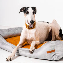 Lade das Bild in den Galerie-Viewer, Premium Hundebett Rexproduct | Recycelte Materialien & schadstofffrei | Hellgrau | 9 versch. Matratzenfarben