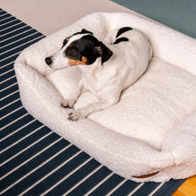 Lade das Bild in den Galerie-Viewer, Nachhaltiges Premium Hundebett "Teddy" SoftColor | Rexproduct | Schadstofffrei & recycelte Materialien | Hellbeige | Fräulein Plath