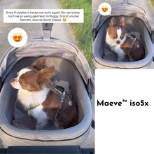 Lade das Bild in den Galerie-Viewer, Isofix Autositz & Transportbox Maeve™ iso5x Wind Tavo | Integriertes Belüftungssystem | für Hunde bis 13.6 kg | GREENGUARD-Gold-Zertifizierung | Merle | Fräulein Plath