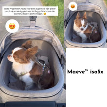 Lade das Bild in den Galerie-Viewer, Isofix Autositz & Transportbox Maeve™ iso5x Wind Tavo | Integriertes Belüftungssystem | für Hunde bis 13.6 kg | GREENGUARD-Gold-Zertifizierung | Sakura | Fräulein Plath
