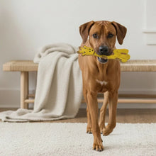 Lade das Bild in den Galerie-Viewer, Hund mit Buddy Hundespielzeug Leder Gina Giraffe schadstofffrei im Maul