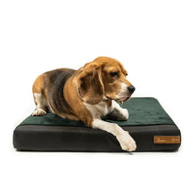 Lade das Bild in den Galerie-Viewer, Orthopädische Hundehütte Indoor "PetHome 2.0" Rexproduct | 100% recycelt | S - XL | Dunkelgrau | 9 Bezugsfarben