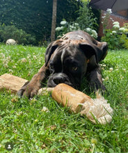 Lade das Bild in den Galerie-Viewer, Kaffeeholz Wurzel WOODIE | Kauspielzeug | 100% natürlich & biologisch abbaubar | 3 Größen