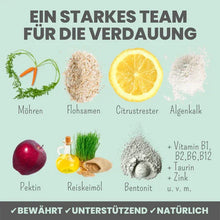 Lade das Bild in den Galerie-Viewer, Verdauungsmix für Hunde & Katzen | Hilfe bei Durchfall | Für gesunde Darmfunktion | 100% vegan & tierleidfrei| 150g