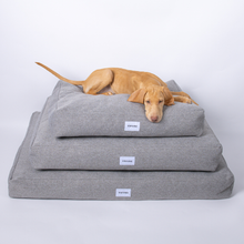 Lade das Bild in den Galerie-Viewer, Hundebett Clean von Caruso - orthopädisch & recycelt - Oeko-Tex® Standard - 2 Farben - 3 Größen