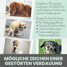 Lade das Bild in den Galerie-Viewer, Noms+ Verdauungsmix für Hunde | Hilfe bei Durchfall | Für gesunde Darmfunktion | 100% vegan & tierleidfrei
