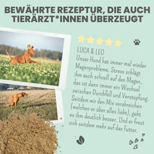 Lade das Bild in den Galerie-Viewer, Verdauungsmix für Hunde & Katzen | Hilfe bei Durchfall | Für gesunde Darmfunktion | 100% vegan & tierleidfrei| 150g