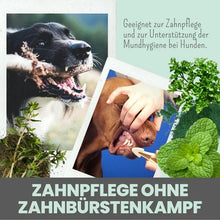 Lade das Bild in den Galerie-Viewer, Dentalmix für Hunde | Bei Plaque & Zahnstein | Rein Pflanzlich & frischer Atem | 100% vegan & tierleidfrei| 150g