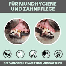 Lade das Bild in den Galerie-Viewer, Dentalmix für Hunde | Bei Plaque & Zahnstein | Rein Pflanzlich & frischer Atem | 100% vegan & tierleidfrei| 150g