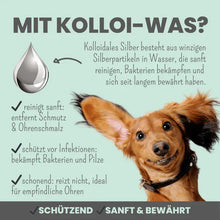 Lade das Bild in den Galerie-Viewer, Großes Pflege-Set | 2-in-1 Augenfein + 2-in-1 Ohrfein + Pflegepads | Für Hunde & Katzen | 100% vegan & tierleidfrei |