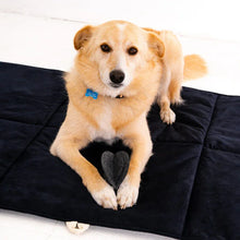 Lade das Bild in den Galerie-Viewer, Reisedecke "Mia" Rexproduct | Samtbezug & Wasserdichte Unterseite | Öko-Tex Zertifikat | 2 Größen