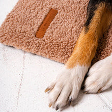 Lade das Bild in den Galerie-Viewer, Hunde Reisedecke "Mia Teddy" Rexproduct | Wasserdichte Unterseite | Öko-Tex Zertifikat | 2 Größen