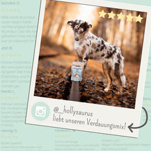 Lade das Bild in den Galerie-Viewer, Noms+ Verdauungsmix für Hunde | Hilfe bei Durchfall | Für gesunde Darmfunktion | 100% vegan & tierleidfrei