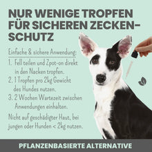 Lade das Bild in den Galerie-Viewer, Anti-Zecken Spray für Hunde gegen Flöhe, Zecken, Milben & Mücken | 100% Chemiefrei | 100ml Jahresvorrat