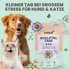 Lade das Bild in den Galerie-Viewer, Wohlfühltabs für Hunde & Katzen | Bei Stress, Angst, Unruhe & Hyperaktivität | 100% vegan & tierleidfrei | 130g