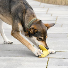 Lade das Bild in den Galerie-Viewer, Hundespielzeug Spar-Set "Superfood XL" | 100% Schafwolle | Schadstofffrei, zahnpflegend & schwimmfähig