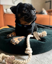 Lade das Bild in den Galerie-Viewer, Runde Hundebett Coco | Rexproduct | Recycelte Materialien & Öko-Tex Standard | Grün | 2 Größen