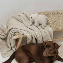 Lade das Bild in den Galerie-Viewer, BUDDY. Leder-Elefant auf einer Decke auf einer geflochtenen Bank, davor liegt ein brauner Hund