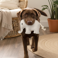 Lade das Bild in den Galerie-Viewer, Brauner Hund trägt den BUDDY. Leder-Elefanten mit Baumwollschwanz im Maul