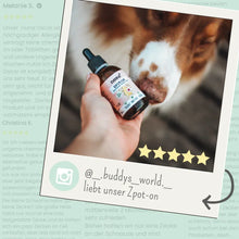 Lade das Bild in den Galerie-Viewer, Noms+ Zpot-on & 2x 150g Zistrosen-Tabs | Spar-Set | Pflanzlicher Anti-Zecken Schutz für Hunde gegen Flöhe, Zecken, Milben & Mücken | 100% Chemiefrei | Sparpaket