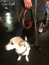 Lade das Bild in den Galerie-Viewer, Korkleder Hundeleine | Robust & Vegan | Top Ökobilanz | Leo | Beschläge wählbar