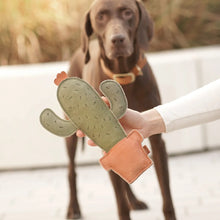 Lade das Bild in den Galerie-Viewer, Brauner Hund schaut auf den BUDDY. Leder-Kaktus, der ihm zum Spielen hingehalten wird