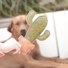 Lade das Bild in den Galerie-Viewer, BUDDY. Hundespielzeug Kaktus aus Leder in einer Hand vor einem liegenden braunen Hund