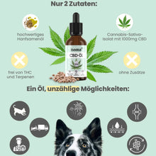 Lade das Bild in den Galerie-Viewer, Noms+ 10% CBD Tropfen für Hunde | 100% natürlich & sanft | 10ml Öl | Fräulein Plath