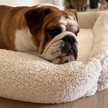 Lade das Bild in den Galerie-Viewer, Nachhaltiges Premium Hundebett "Teddy" SoftColor | Rexproduct | Schadstofffrei & recycelte Materialien | Hellbeige | Fräulein Plath